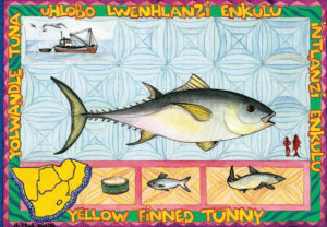1_Yellowfin-Tuna-1